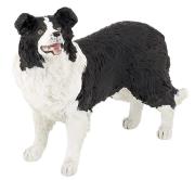 Opakowanie Border collie