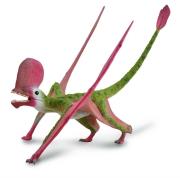 Opakowanie Caviramus 1:2