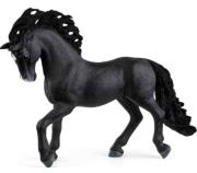 Opakowanie Hiszpański ogier