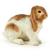 Opakowanie Królik Holland Lop