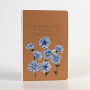 Opakowanie Notes Kwiaty Polskie Cykoria KPL 6