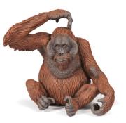 Opakowanie Orangutan