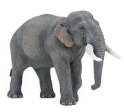 Papo Słoń azjatycki (50131). Autor: 50131. Dadada.pl Okładka książki Papo Słoń azjatycki (50131)