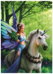 Opakowanie Puzzle 1000 Anne Stokes - Królowa zaklęć