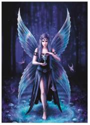 Opakowanie Puzzle 1000 Anne Stokes - Zachwyt