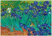 Opakowanie Puzzle 1000 Irysy, Vincent van Gogh