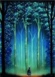 Opakowanie Puzzle 1000 Leśna katedra