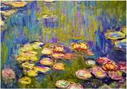 Opakowanie Puzzle 1000 Nenufary, Claude Monet