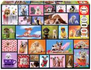 Opakowanie Puzzle 1000 Wspólne chwile G3