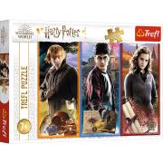Opakowanie Puzzle 200 W świecie magii i czarów Harry Potter 13277