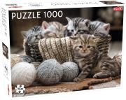 Opakowanie Puzzle Małe kotki 1000 el /56803/