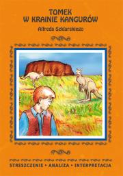 Streszczenia - Tomek w krainie... w.2016 LITERAT. Autor: oprac. Danuta Anusiak. Dadada.pl Okładka książki Streszczenia - Tomek w krainie... w.2016 LITERAT