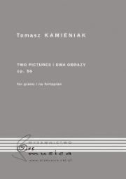 Dwa obrazy. Autor: Tomasz Kamieniak. Dadada.pl Okładka książki Dwa obrazy