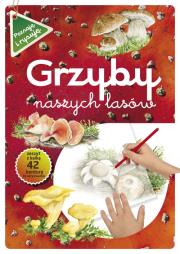 Grzyby naszych lasów. Autor: Katarzyna Kopiec-Sekieta. Dadada.pl Okładka książki Grzyby naszych lasów