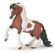 Opakowanie Koń Irish cob