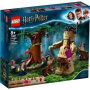 Opakowanie Lego HARRY POTTER Zakazany Las: spotkanie Umbridge