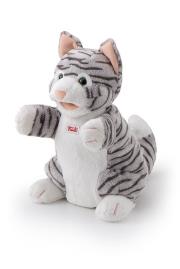 Opakowanie Pacyka Kotek