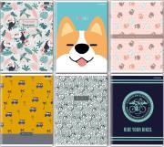 Opakowanie Zeszyt A4/32K linia podw. kol Megamix (10szt)