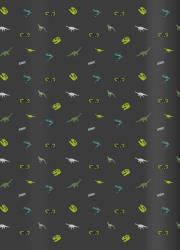 Opakowanie Zeszyt A5/16K kratka Dino (20szt)