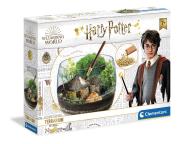 Opakowanie Harry Potter terrarium 19248
