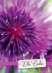 Opakowanie Karnet B6 3DV-192 Dla Ciebie kwiaty