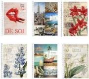 Opakowanie Kołonotes B6 /150 kartkowy w kratkę. Seria 937K. Skolarik (mix wzorów)