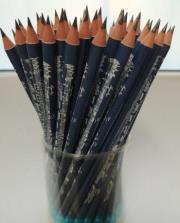 Opakowanie Ołówek niebieski - Chopin