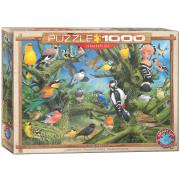 Opakowanie Puzzle 1000 Ptaki ogrodowe, Joahn Franc 6000-0967