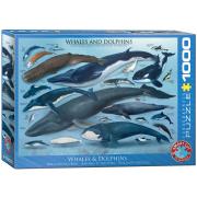 Opakowanie Puzzle 1000 Wieloryby i delfiny 6000-0082