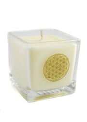 Zdjęcie produktu Świeca z wosku rzepakowego trawa cytrynowa