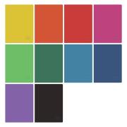 Opakowanie Zeszyt A5/80K kratka Rainbow (5szt)