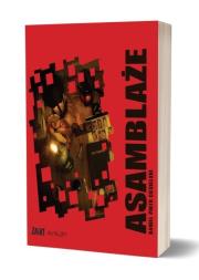 Okładka książki Asamblaże