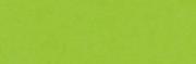 Brystol kolorowy Happy Color 170g A4 25 arkuszy jasnozielony. Wydawca: HAPPY COLOR. Dadada.pl Opakowanie Brystol kolorowy Happy Color 170g A4 25 arkuszy jasnozielony