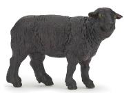 Opakowanie Czarna owca