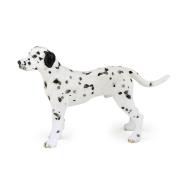 Opakowanie Dalmatyńczyk
