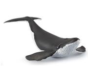 Opakowanie Humbak młody