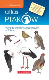 Okładka książki Ilustrowany atlas ptaków w.2011