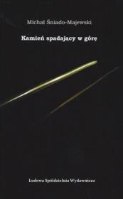 Okładka książki Kamień spadający w górę