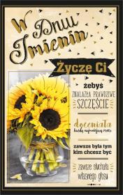 Opakowanie Kartka okolicznościowa Imieniny IM06