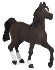 Opakowanie Koń rasy arabskiej