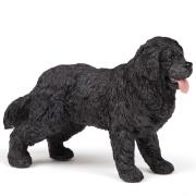 Opakowanie Nowofundland