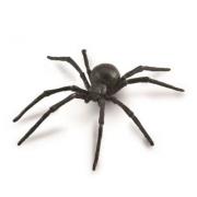 Opakowanie Pająk Czarna wdowa