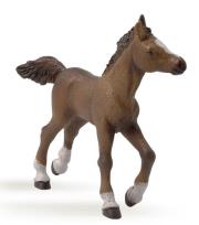 Papo Źrebie rasy angloarabskiej (51076). Autor: 51076. Dadada.pl Okładka książki Papo Źrebie rasy angloarabskiej (51076)