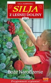 Okładka książki Silja z Leśnej Doliny t.36