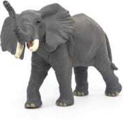 Opakowanie Słoń trąbiący