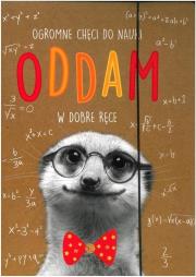 Opakowanie Teczka A4 z gumką Geniusz-02