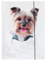 Opakowanie Teczka A4 z gumką Pets-12