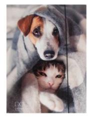 Opakowanie Teczka A4 z gumką Pets-17