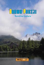 Okładka książki Barwy Poezji