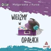Okładka książki CD MP3 Wiedźmy w opałach